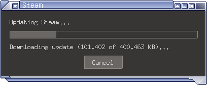 steam bootstraper X client window