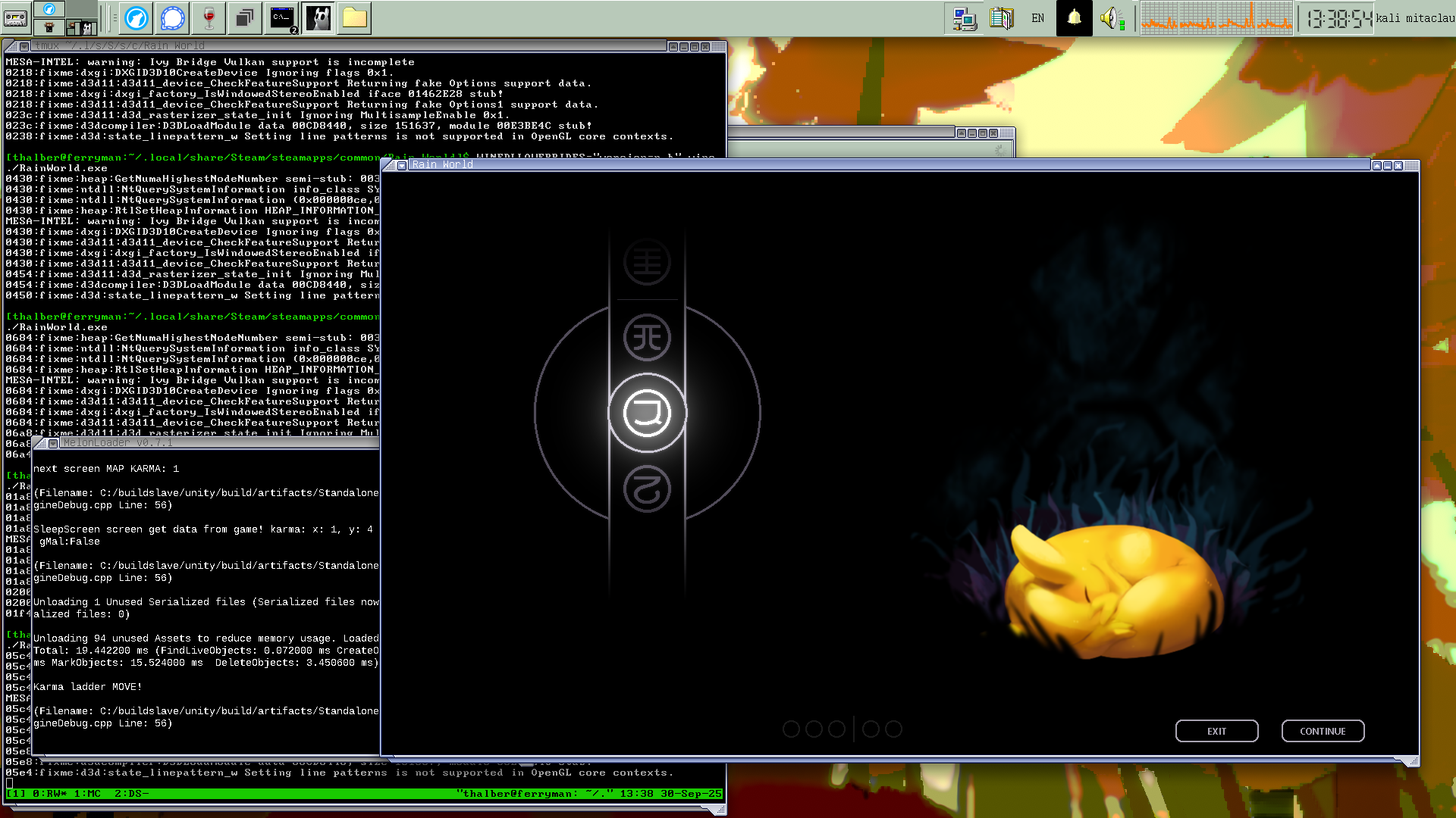 rain world correctly rendering flatmode sleep screen on my desktop.